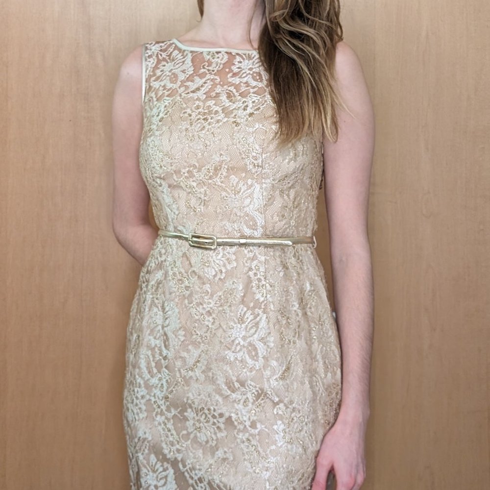 Maggy London Gold Lace Dress size 6